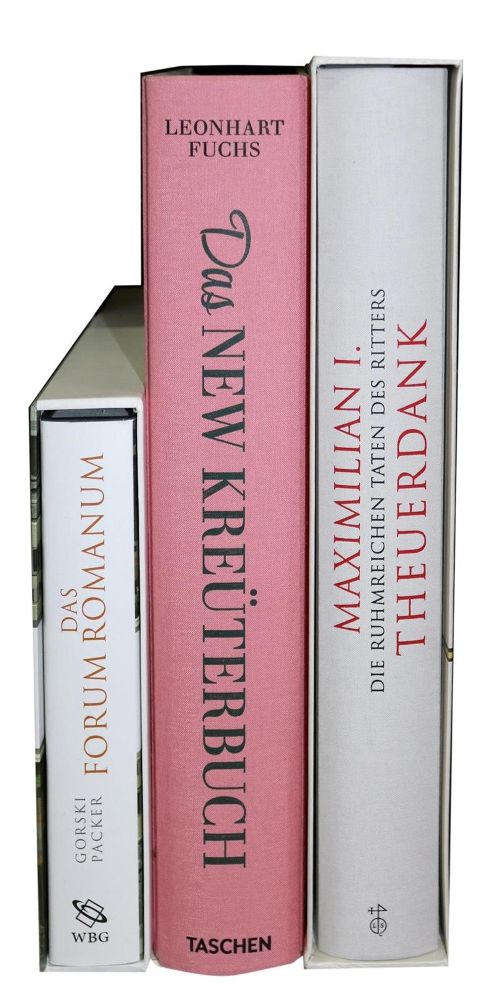 Große Abbildung Nr.2: 132-667 Sammlung: (Faksimile)