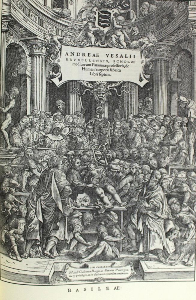 Große Abbildung Nr.2: 132-669 Vesalius,A.: (Faksimile)