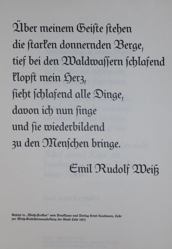 Große Abbildung Nr.4: 132-710 Kynoch Press.: (Typographie und Kalligraphie)