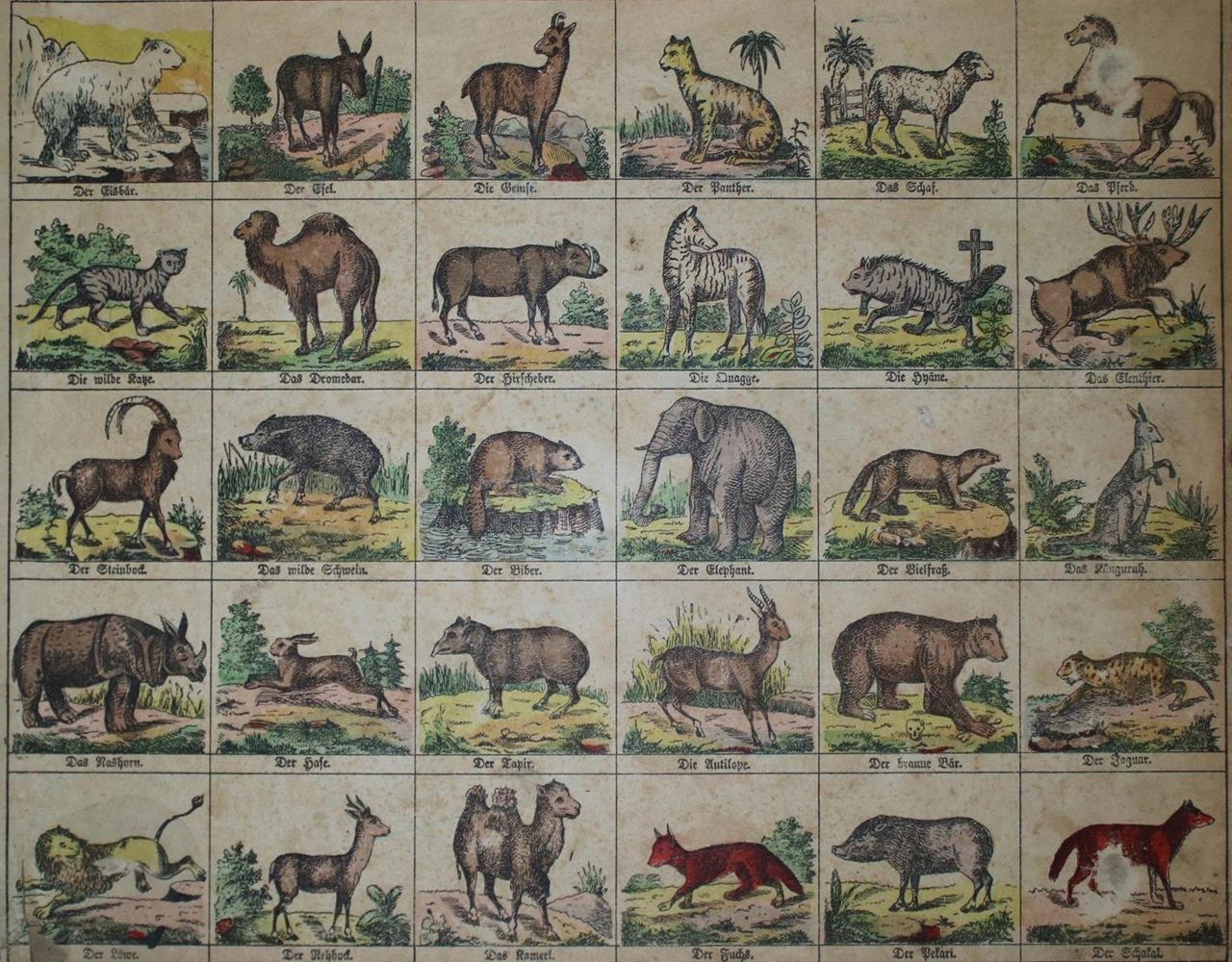 Große Abbildung Nr.1: 132-782 Zoologie.: (Bilderbogen)
