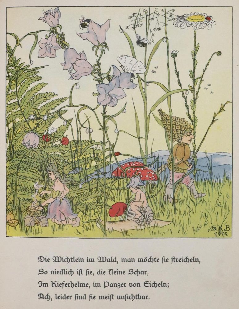 Große Abbildung Nr.1: 132-786 Brauer,S.K. (Illustr.).: (Kinder- und Jugendbücher)