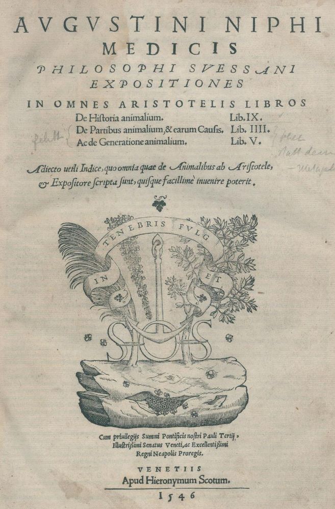 Große Abbildung Nr.1: 132-8 Nifo,A.: (Aristoteles)
