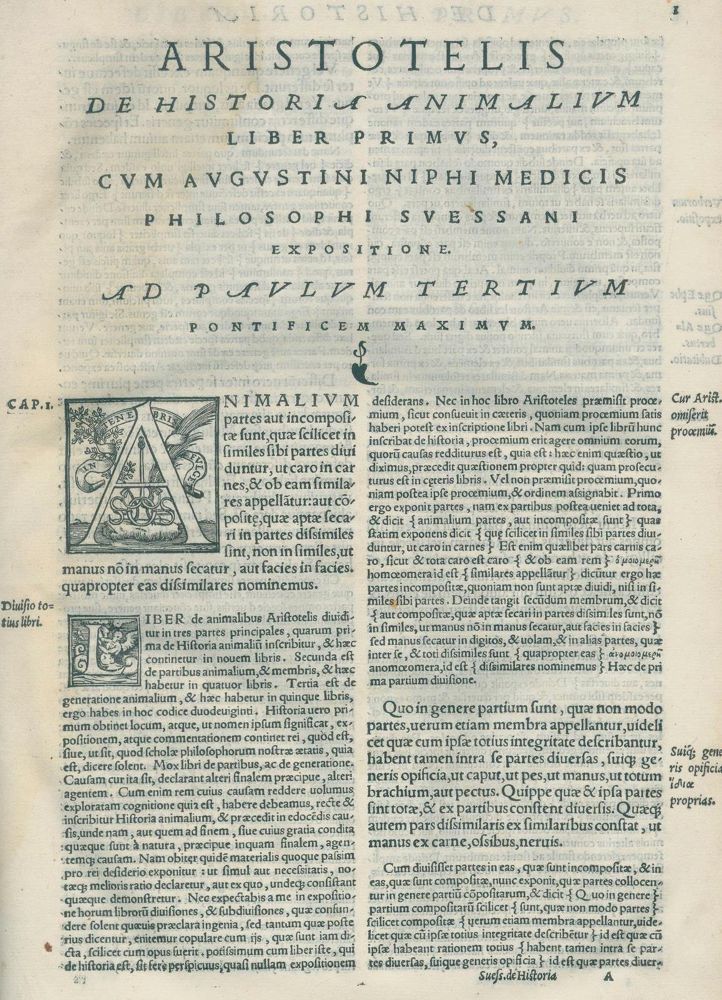 Große Abbildung Nr.2: 132-8 Nifo,A.: (Aristoteles)