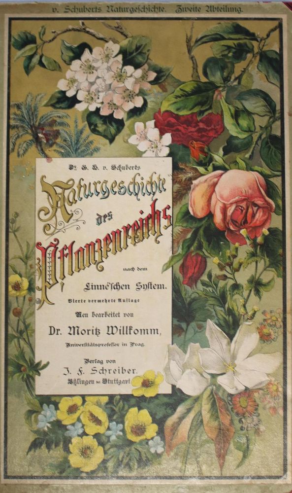 Große Abbildung Nr.1: 132-805 Loewe's Unzerreißbares: (Kinder- und Jugendbücher)