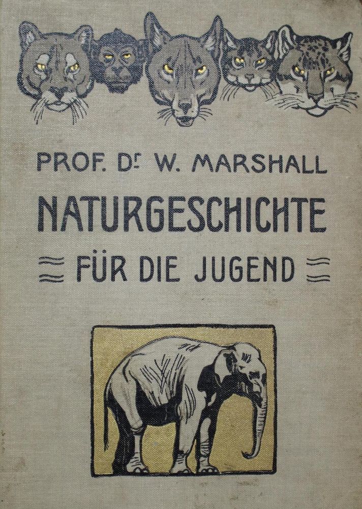 Große Abbildung Nr.1: 132-827 Sammlung: (Kinder- und Jugendbücher)