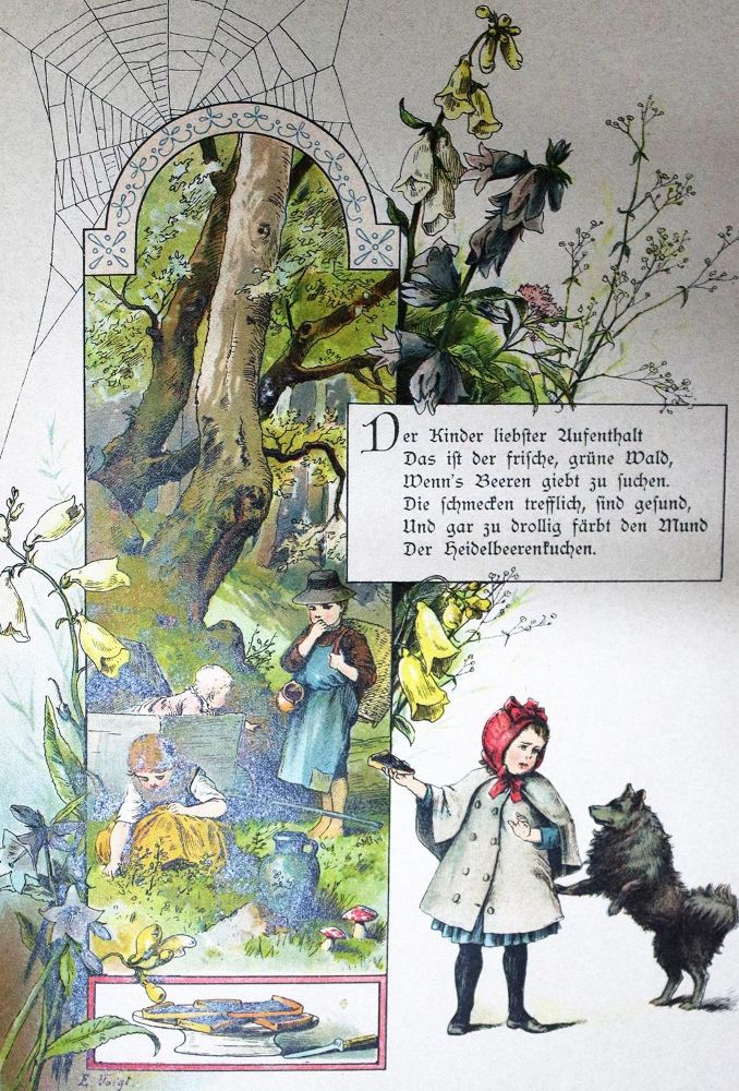 Große Abbildung Nr.1: 132-840 Steinkamp,A. u. H.Weinert.: (Voigt)