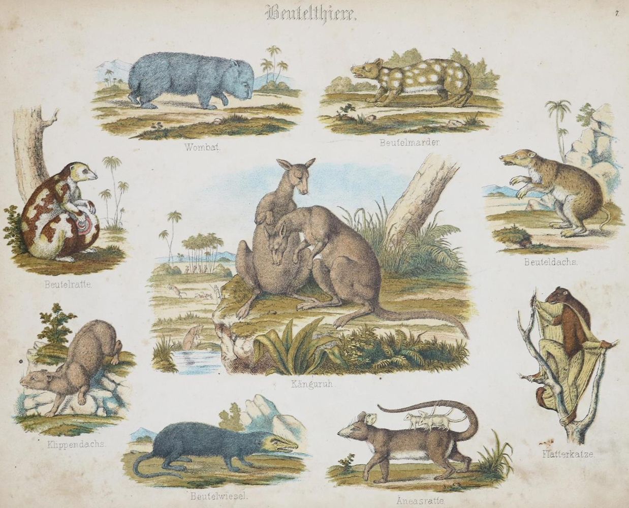 Große Abbildung Nr.1: 132-845 Zoologische Garten, Der.: (Kinder- und Jugendbücher)