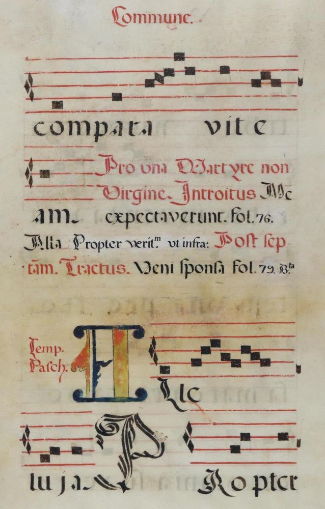 Große Abbildung Nr.2: 132-90 Antiphonar.: (Handschriften)
