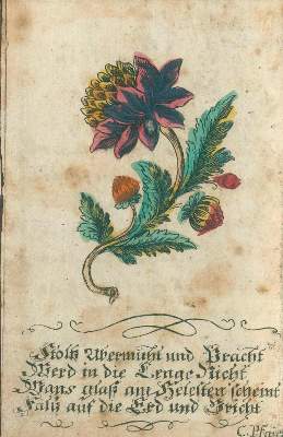 Bild Nr.1: 132-103 Konvolut: (Handschriften, Gebetbücher)