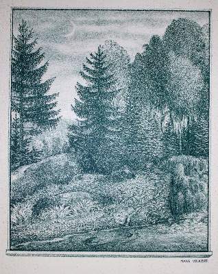 Bild Nr.2: 132-1120 Volkert,H.: (Eichendorff)