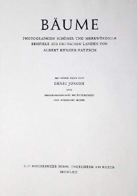 Bild Nr.2: 132-1232 Renger-Patzsch,A.: (Photographie)