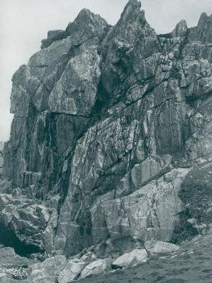 Bild Nr.1: 132-1233 Renger-Patzsch,A.: (Photographie)