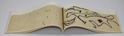 Bild Nr.4: 132-1241 Pollock,J.: (Literatur und illustrierte Bücher 20.Jahrhundert - Alte Literatur in modernen Ausgaben)