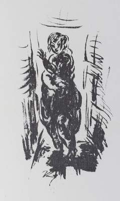 Bild Nr.1: 132-1311 Ziegler, Richard: (Literatur und illustrierte Bücher 20.Jahrhundert - Alte Literatur in modernen Ausgaben)