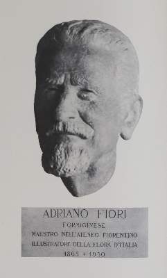 Bild Nr.1: 132-1318 Fiori,A.: (Botanik)