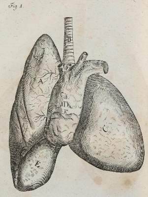 Bild Nr.1: 132-1370 Henckel,J.F.: (Medizin)
