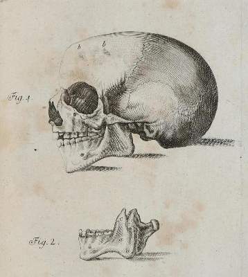 Bild Nr.2: 132-1370 Henckel,J.F.: (Medizin)