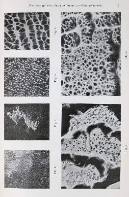 Bild Nr.2: 132-1383 Delondre,A. u. A.Bouchardat.: (Medizin, Pharmazie)