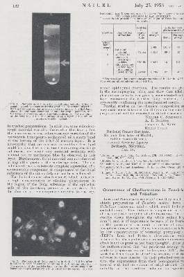 Bild Nr.3: 132-1396 Watson,J.D. u.a.: (Medizin)