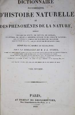 Bild Nr.1: 132-1411 Guerin,F.L.: (Zoologie)