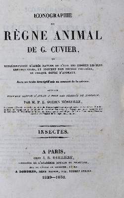 Bild Nr.1: 132-1412 Cuvier,G.: (Zoologie, Insekten)