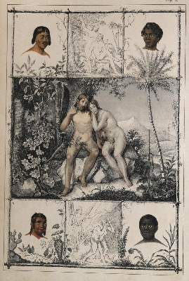 Bild Nr.1: 132-1420 Lindner,F.W.: (Zoologie)