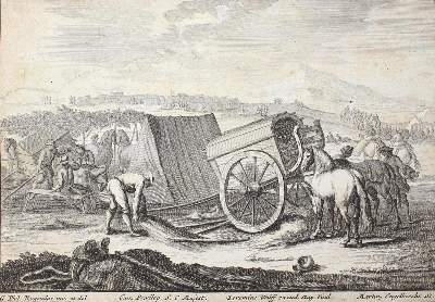 Bild Nr.1: 132-1425 Konvolut.: (Zoologie, Pferde)