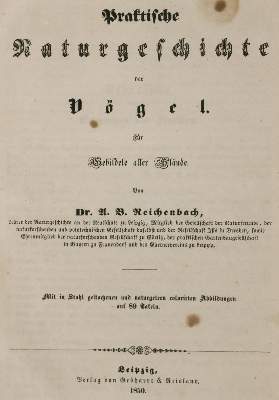 Bild Nr.1: 132-1427 Reichenbach,A.B.: (Zoologie)