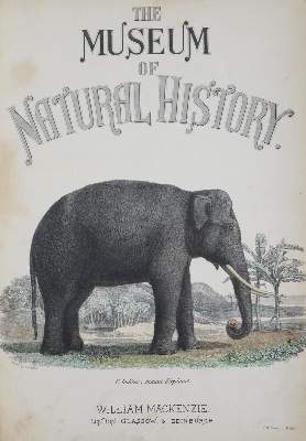 Bild Nr.3: 132-1428 Richardson,J. u.a.: (Zoologie)