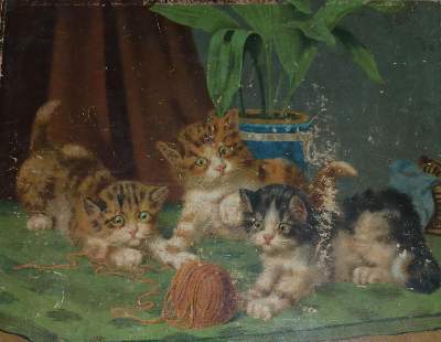 Bild Nr.1: 132-1432 Sammlung: (Zoologie)