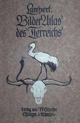Bild Nr.1: 132-1433 Sammlung: (Zoologie)