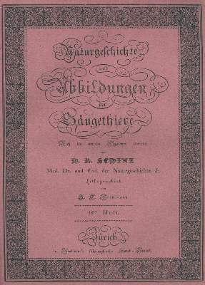 Bild Nr.2: 132-1436 Schinz,H.R.: (Zoologie)