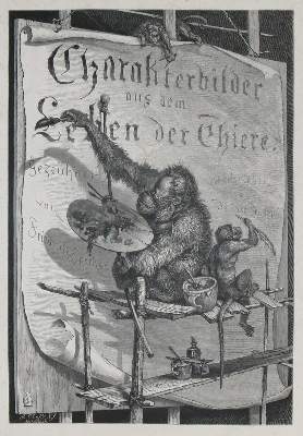 Bild Nr.1: 132-1440 Specht,F.: (Zoologie)