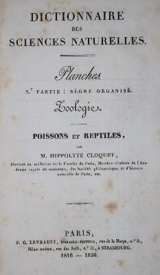 Bild Nr.1: 132-1477 Dictionnaire des sciences naturelles,: (Verschiedene Gebiete - Varia)