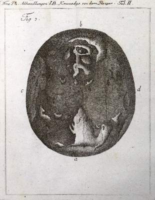 Bild Nr.2: 132-1511 Neue philosophische Abhandlungen: (Verschiedene Gebiete - Varia)