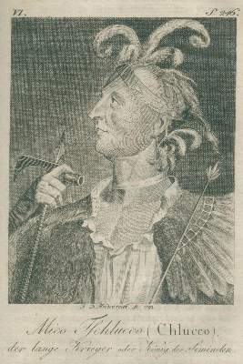 Bild Nr.1: 132-1547 Bartram,W.: (Amerika)