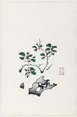 Bild Nr.2: 132-1576 Hu Chêng-yen.: (Asien, China)