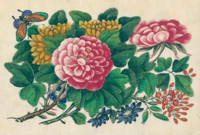 Bild Nr.1: 132-1579 Reispapieralbum.: (Asien, China)