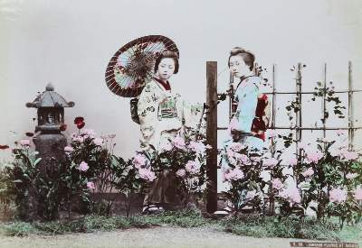 Bild Nr.18: 132-1583 Japan.: (Asien, Japan)