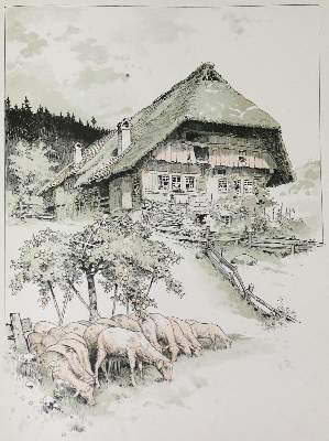 Bild Nr.1: 132-1737 Reiss,F.: (Deutschland, Schwarzwald)
