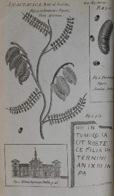 Bild Nr.1: 132-1857 Gentleman's Magazine, The,: (Verschiedene Länder - Geschichte)