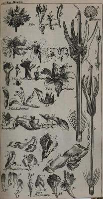 Bild Nr.8: 132-1859 Gentleman's Magazine, The,: (Verschiedene Länder - Geschichte)