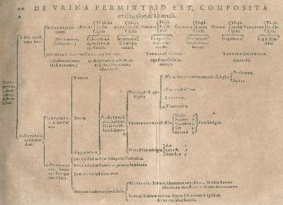 Bild Nr.2: 132-188 Paracelsus (d.i. T.B. v. Hohenheim).: (Alte Drucke, Handschriften und Theologie)