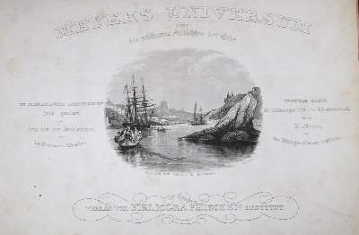Bild Nr.1: 132-1889 Meyer's Universum.: (Verschiedene Länder - Geschichte)