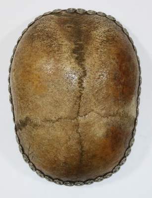 Bild Nr.4: 132-1982 Kapala.: (Varia)