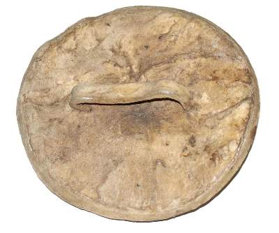 Bild Nr.2: 132-2097 Kampfschild der Borana.: (Afrika, Sammlung Wolfgang Nerlich, Schilde)