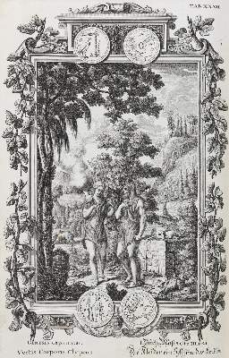 Bild Nr.2: 132-223 Scheuchzer,J.J.: (Alte Drucke, Handschriften und Theologie)