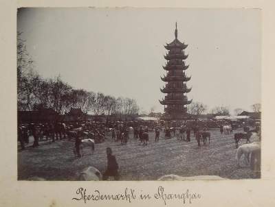 Bild Nr.8: 132-2333 Photoalbum: (China, SMS Luchs)