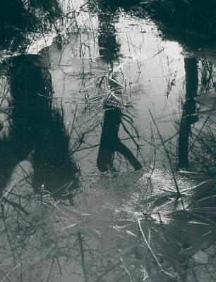Bild Nr.1: 132-2339 Clergue, Lucien: (Photographie)