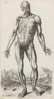 Bild Nr.1: 132-238 Tortebat,F.: (Alte Drucke, Handschriften und Theologie)